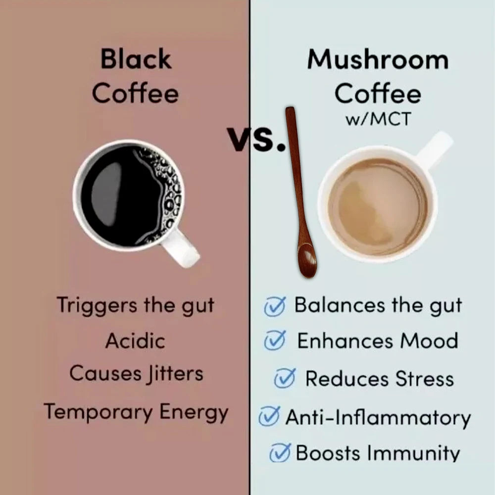 6-in-1 Organic Mushroom Powder Blend